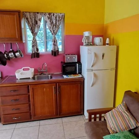 Fish Tobago Guesthouse Or Joy And Brandon Guesthouse Buccoo 外观 照片