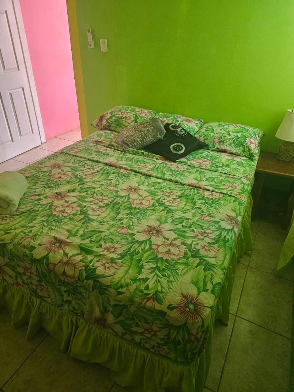 Fish Tobago Guesthouse Or Joy And Brandon Guesthouse Buccoo 客房 照片