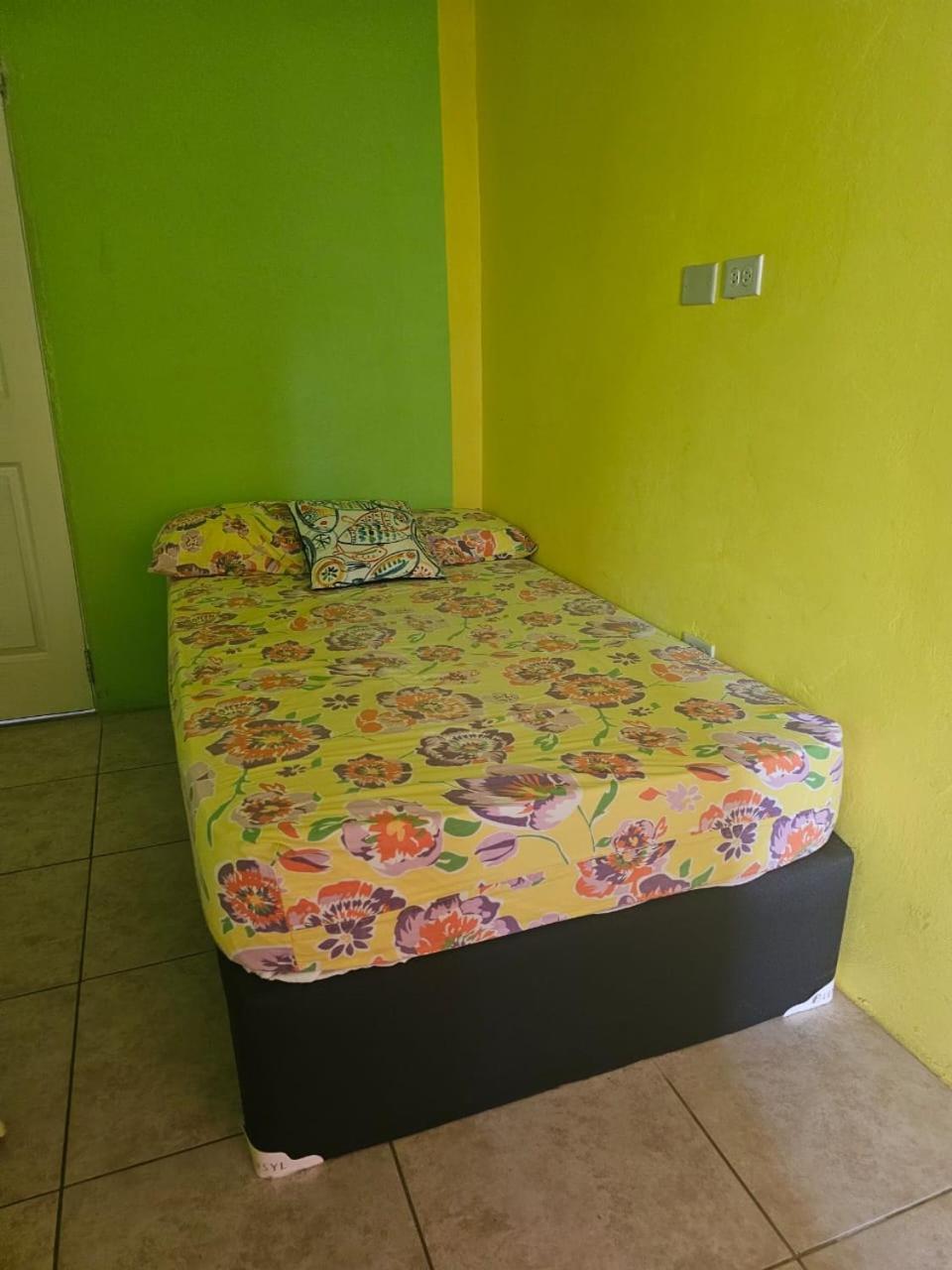 Fish Tobago Guesthouse Or Joy And Brandon Guesthouse Buccoo 客房 照片